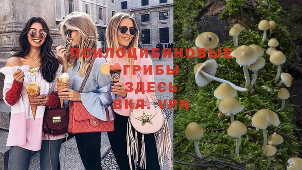 прущие крисы Бронницы