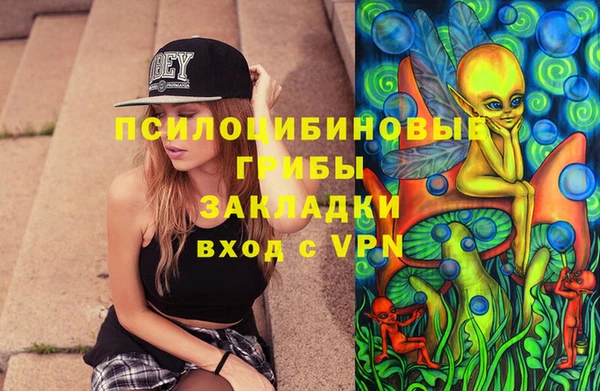 mdma Бородино