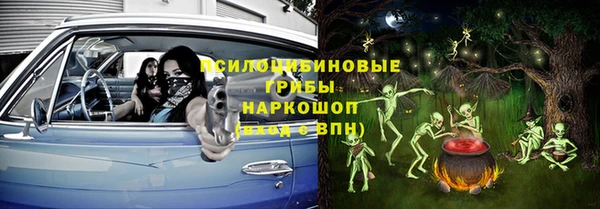 сатива Каменногорск