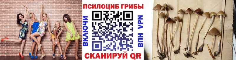 Галлюциногенные грибы Cubensis  Клинцы 